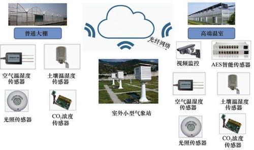 重磅预售 智慧农业